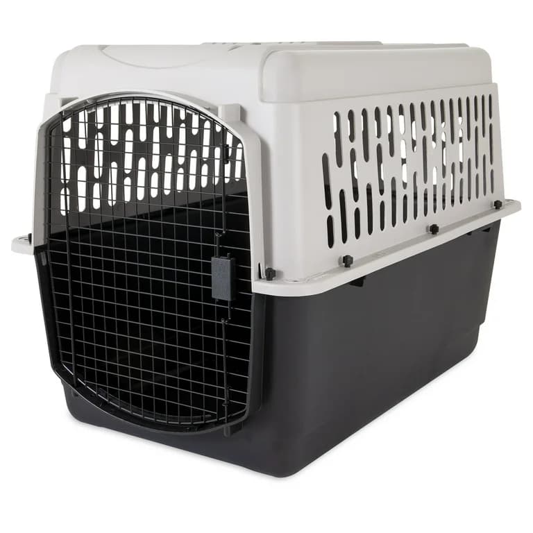 Vibrant Life Pet Portable Kennel for Dogs